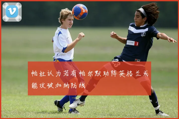 帕杜认为若有帕尔默助阵英格兰或能攻破加纳防线