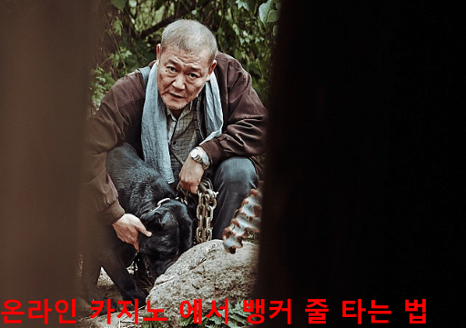 온라인 카지노